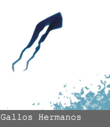 Gallos Hermanos